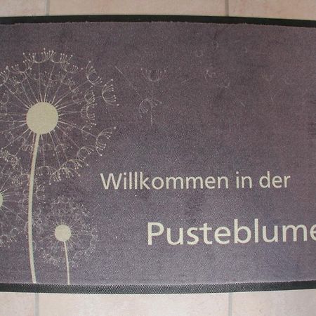 Ferienwohnung Pusteblume コッヘム 部屋 写真