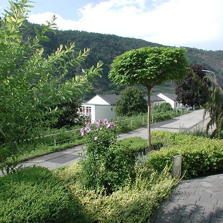 Ferienwohnung Pusteblume コッヘム エクステリア 写真