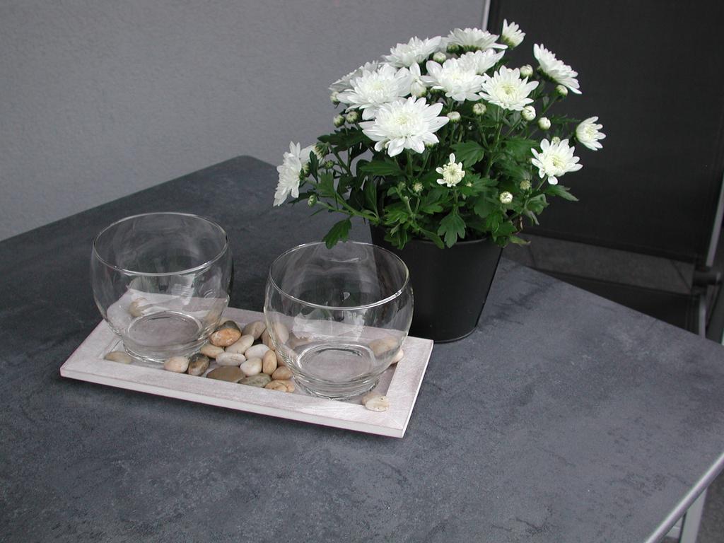 Ferienwohnung Pusteblume コッヘム 部屋 写真
