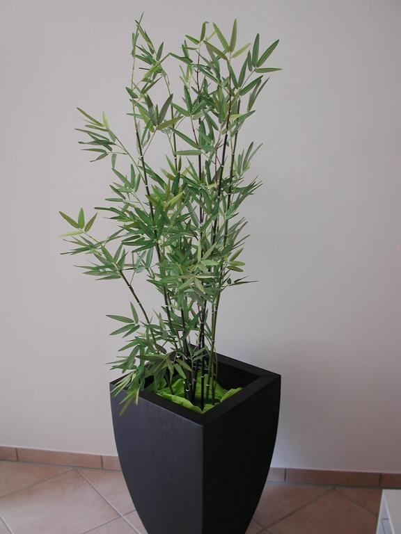Ferienwohnung Pusteblume コッヘム 部屋 写真