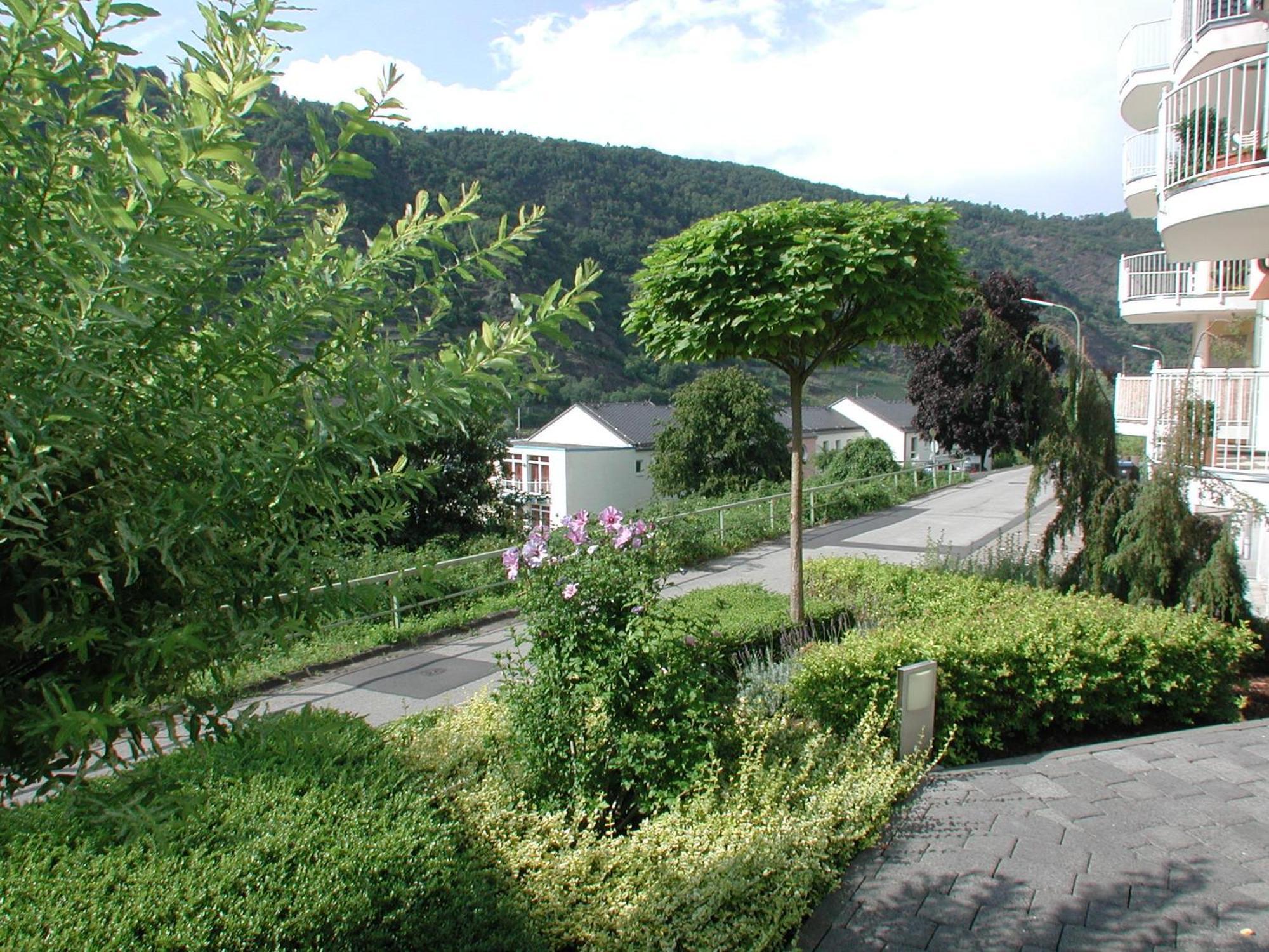Ferienwohnung Pusteblume コッヘム エクステリア 写真